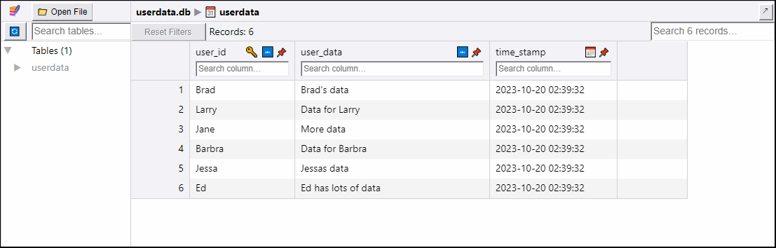 SQLite Viewer reading userdata.db database file